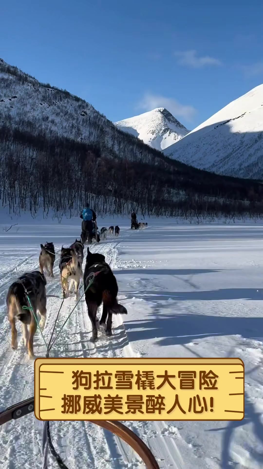 挪威男子雪橇选手刷新纪录